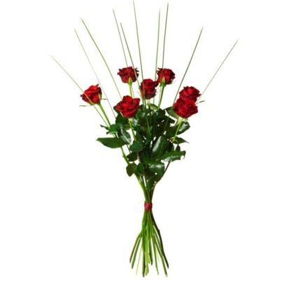 7 RÖDA ROSOR