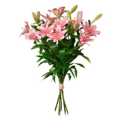 LILIUM BUKETT