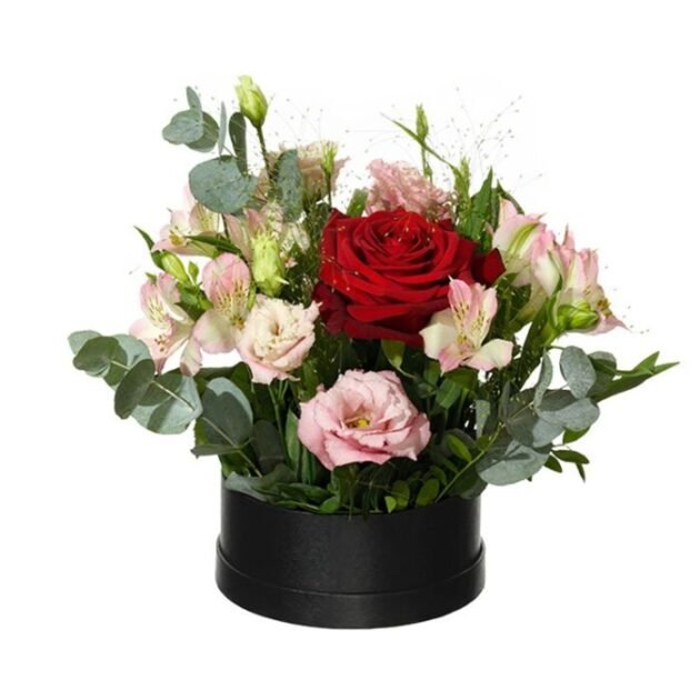 ROMANTISKA BOXEN